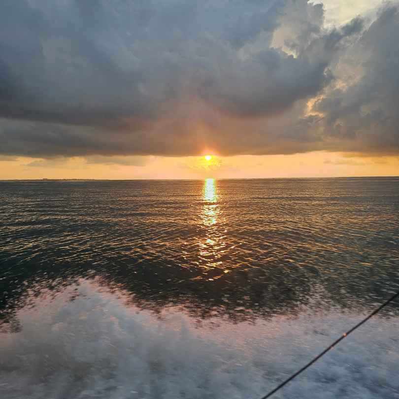 view of sunset from back of boat in Isla Mujeres